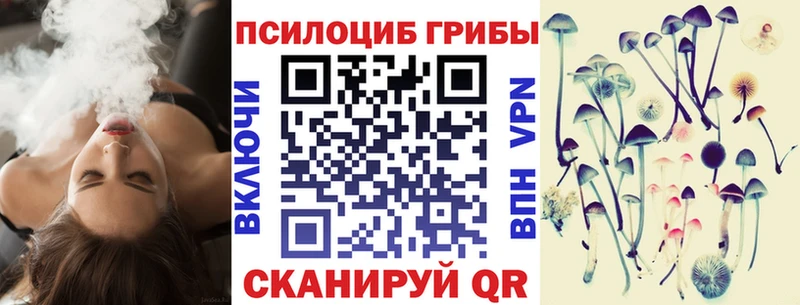 Галлюциногенные грибы Psilocybe Щёлково