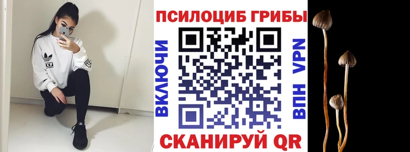наркошоп  Щёлково  Псилоцибиновые грибы мицелий 